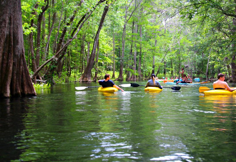 Ichetucknee Springs State Park, Florida, USA